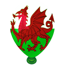 Welshy's balloon