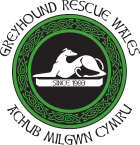 Greyhound Rescue Wales